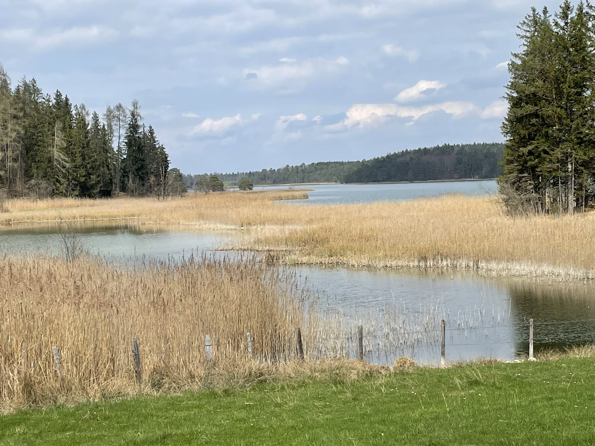 lykkefriis's tweet photo. Seemed like the obvious thing to do around Easter in Bavaria - hiking around the Easter lakes #osterseen https://t.co/re8K7OYUZY