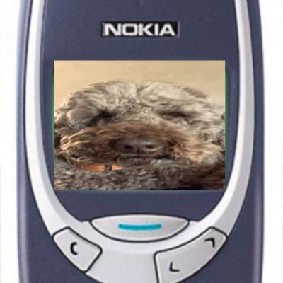 Schaekenguy's tweet photo. #nieuweprofielfoto https://t.co/yoqHI6K5oP