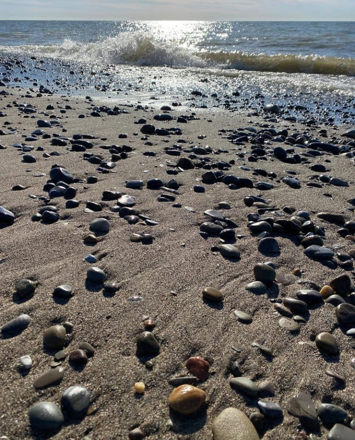 tourlakecounty's tweet photo. How about a nice #springwalk at #headlandsbeachstatepark in Mentor to sooth the soul? Today's featured ๐ธ from @northcoastgirl says yes. https://t.co/MXq0b9nllQ #ohiohikesandsights #northcoast #northeastohio #mentorohio #ohiostateparks #ohioviews #photofeatureohio https://t.co/JEyo6uSxFK