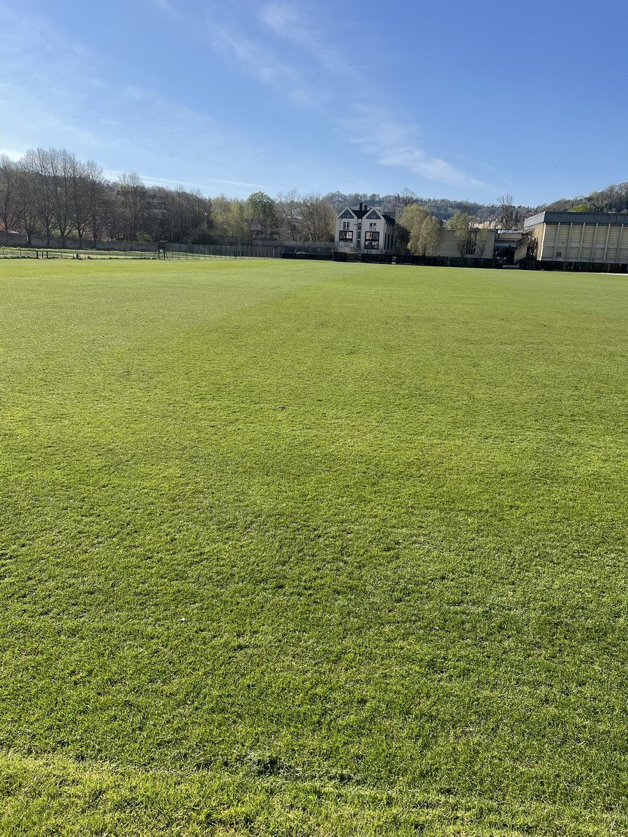 David cobb tweet media