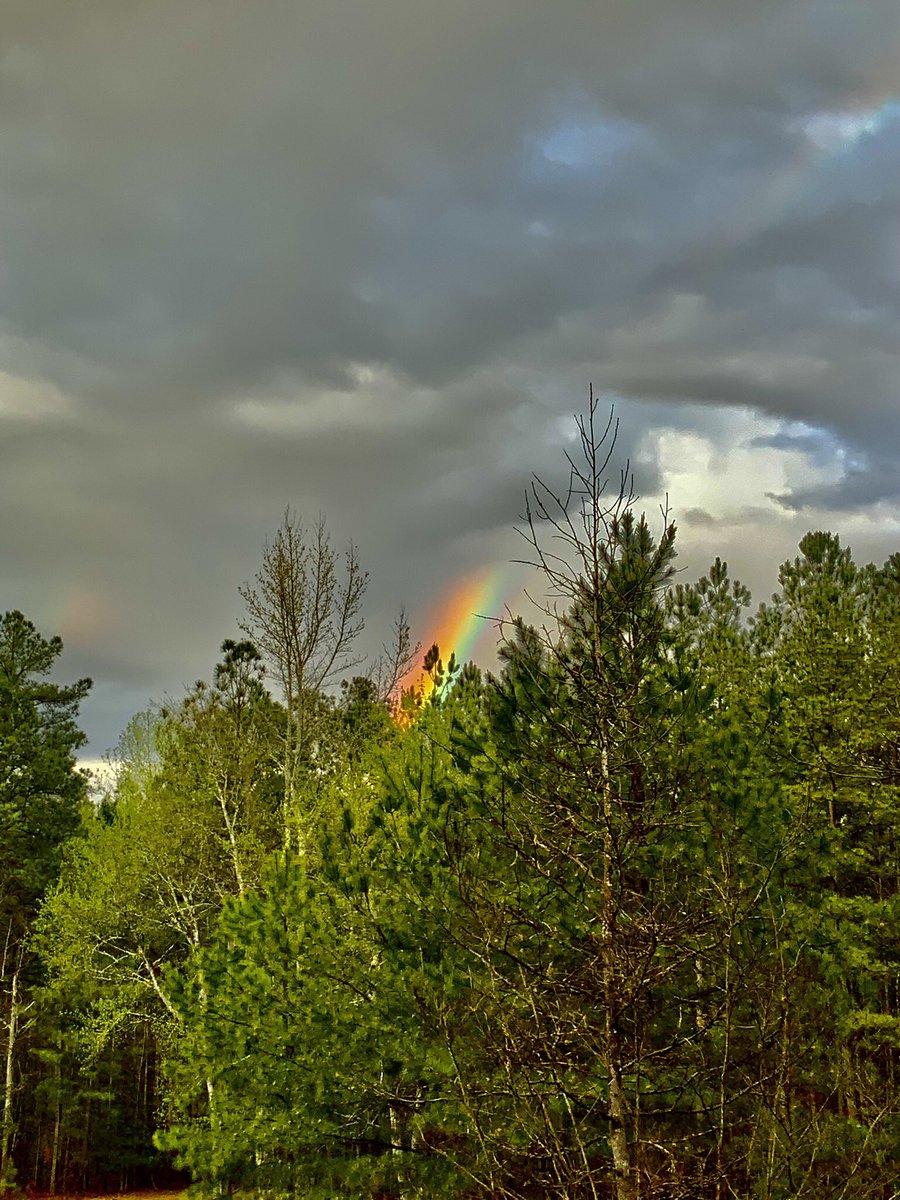 Almost missed them,look just to the left🌈🙋‍♀️