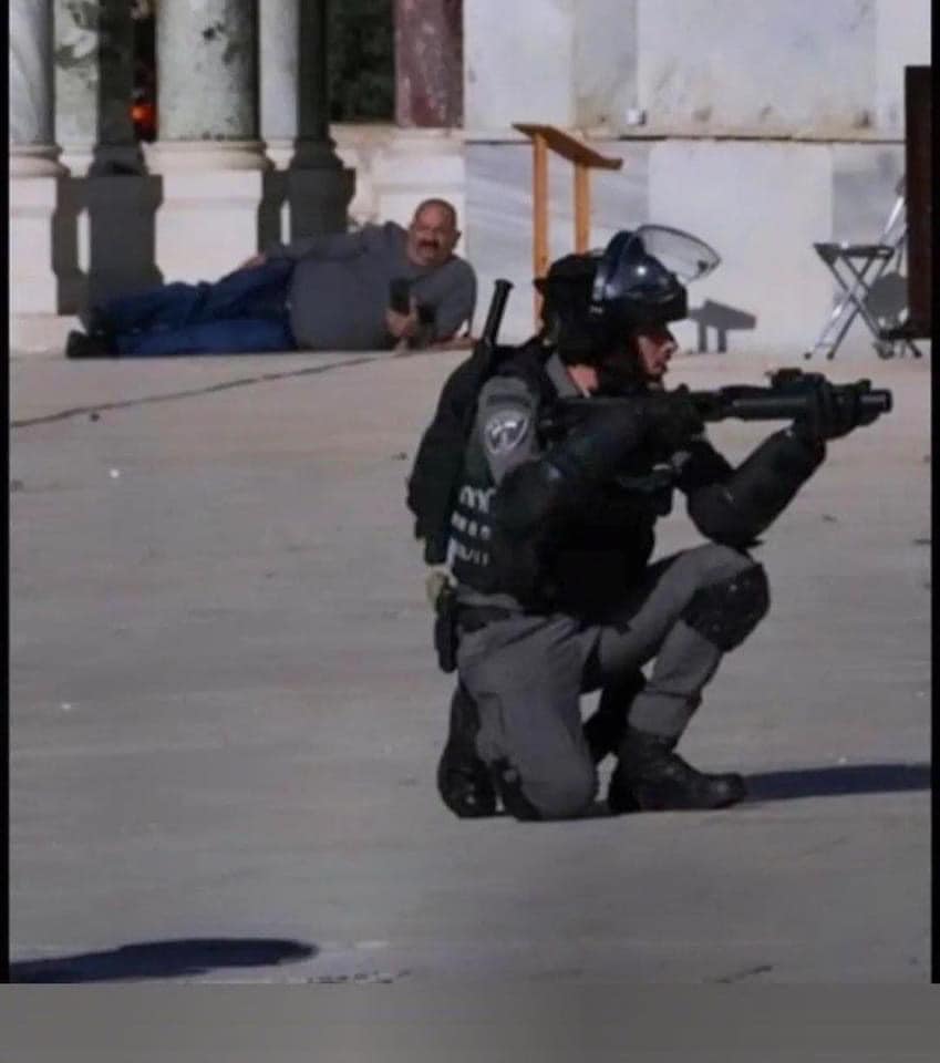 محتل متأهب في قلقِه، وصاحب أرض متّكئٌ في قيلولته.