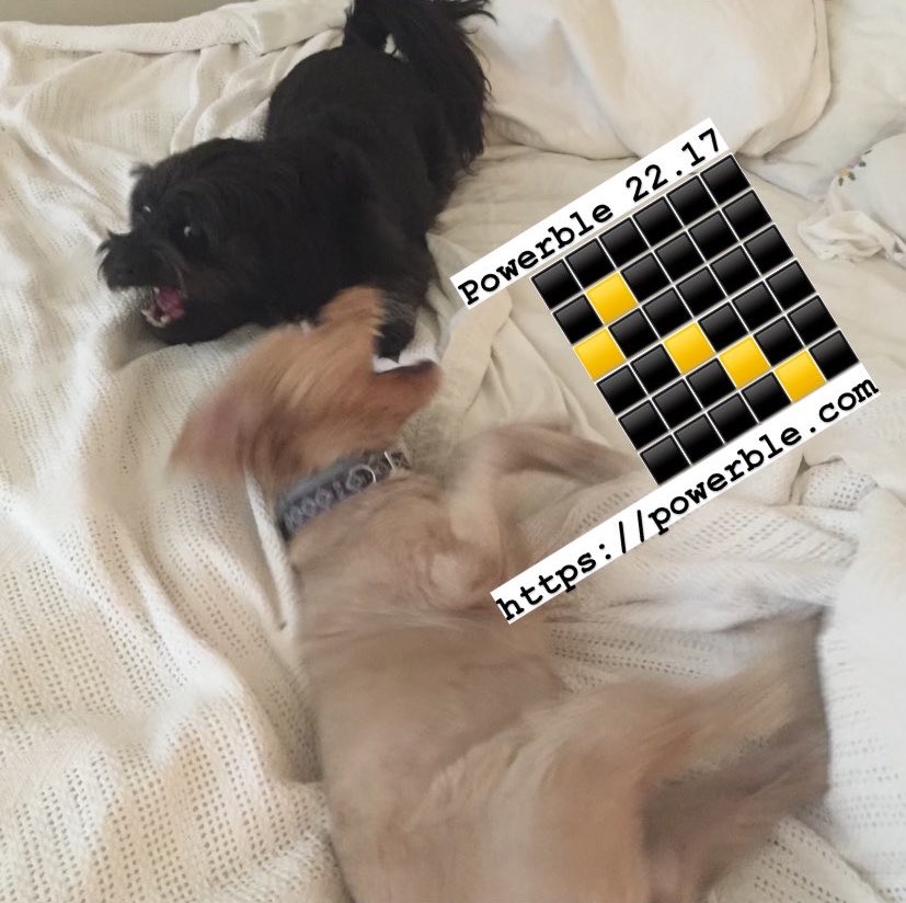 nieltown's tweet image. 