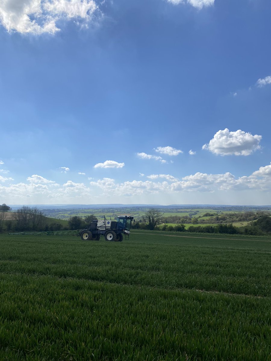 It may not be Lincolnshire but she’s not a bad office… 👌🏻 #househamsprayers