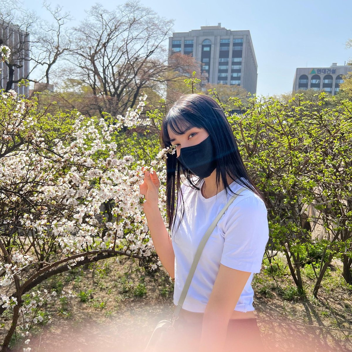Seeunoi tweet picture