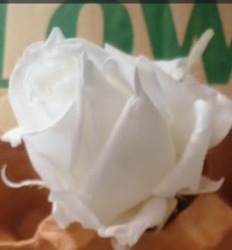 Jorge Rivera tweet media