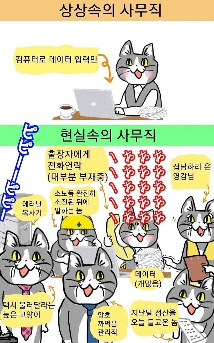 두기 tweet media