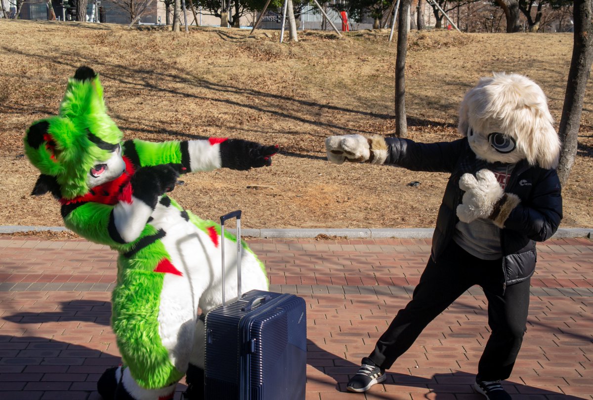 Anbur_Furry's tweet photo. 찌찌뽕!
#fursuit #zerokemo https://t.co/LpmJERLYW6
