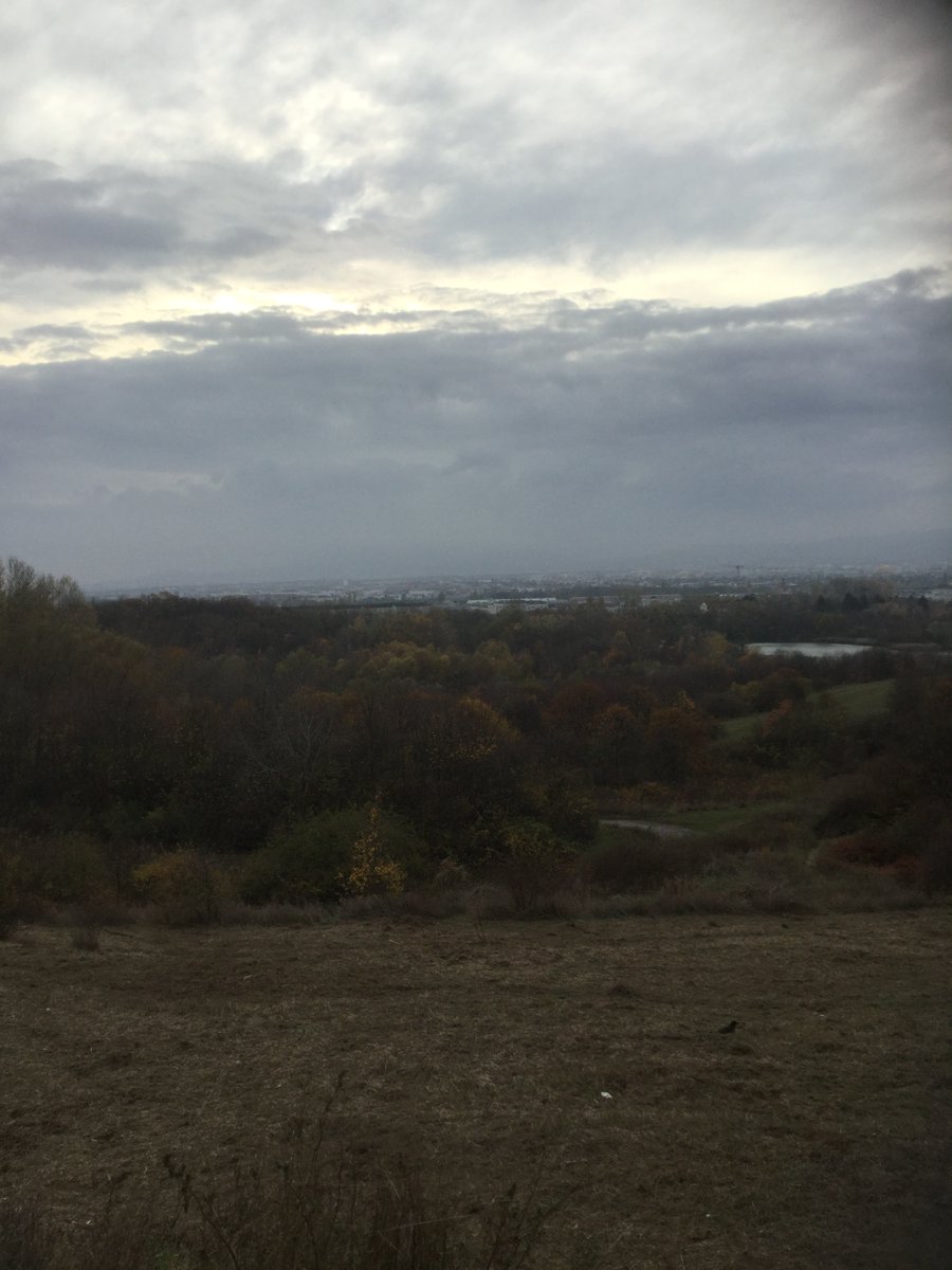 KowalcikKarl's tweet photo. @tonyhughes50s Hello Tony !
it's a little rainy here in vienna and i can't go to the sports field today π₯Ί
I'll go hiking in the woods on the outskirts of #Vienna .
Have a good start to the weekend ! βοΈππ
PS : #GiveAlitaHerSequel #AlitaSequel
#HowToLiveInVienna https://t.co/Dvl6HoBlUi