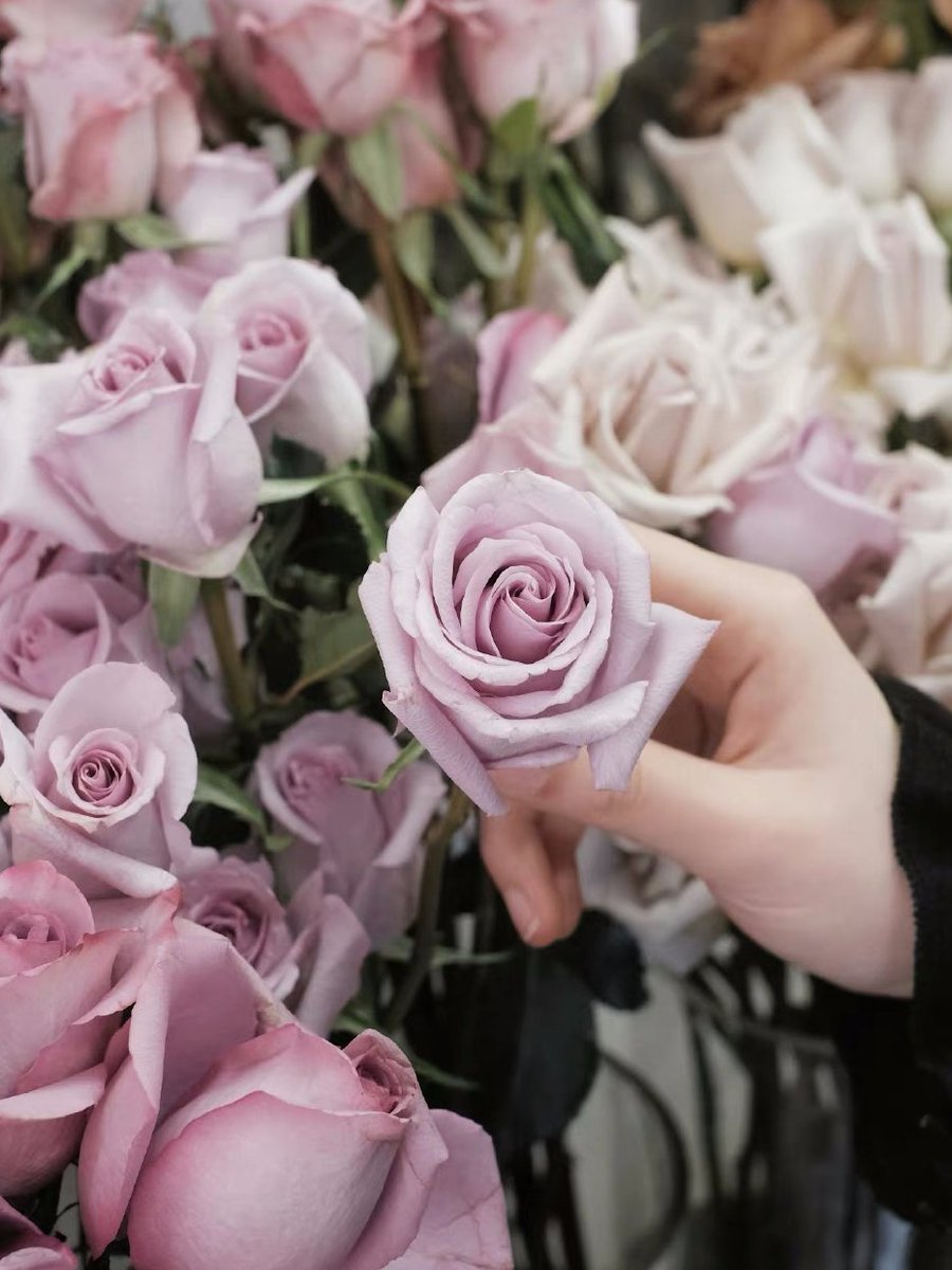 swhnetwork's tweet image. 遍地是花香