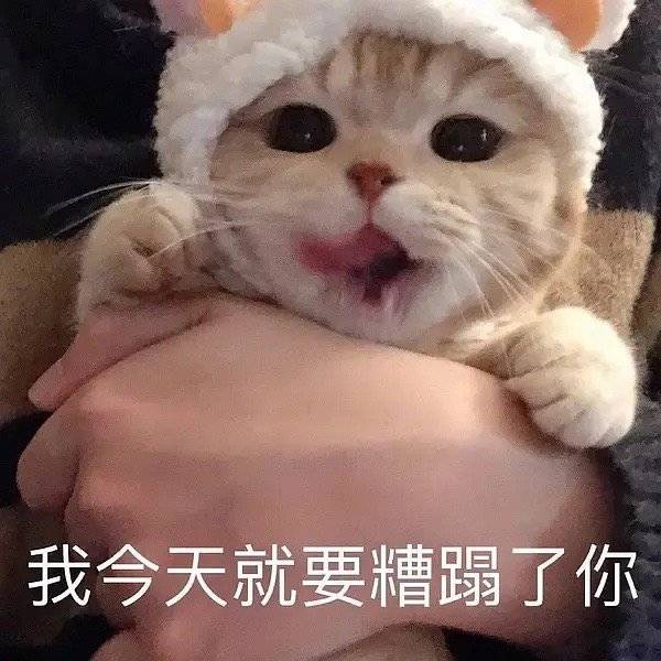 Color_ppp_'s tweet photo. @itsrikimaru 来啊，瞅我啊 https://t.co/O4PFWMWlY8