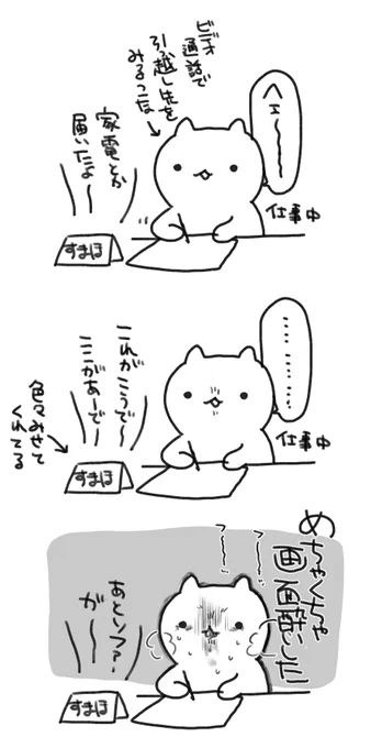 今日のこなくん 