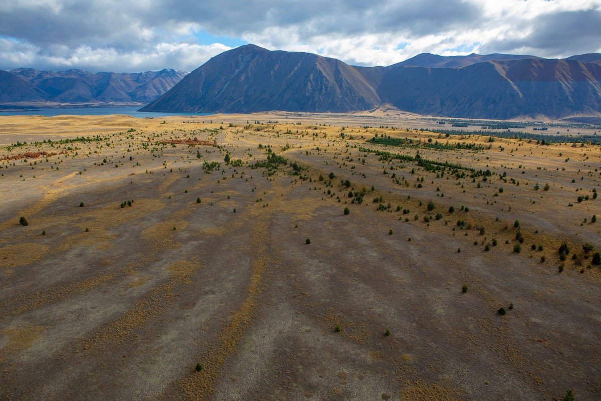 MissMoo1520's tweet photo. @hotasshilly Own real life land in New Zealand by owning one of these NFTs! https://t.co/idEaYf6k5g