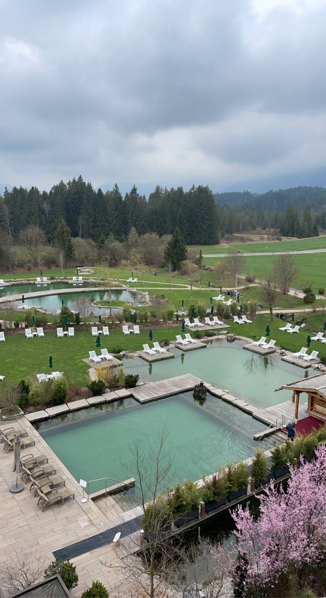 webhookready's tweet image. 