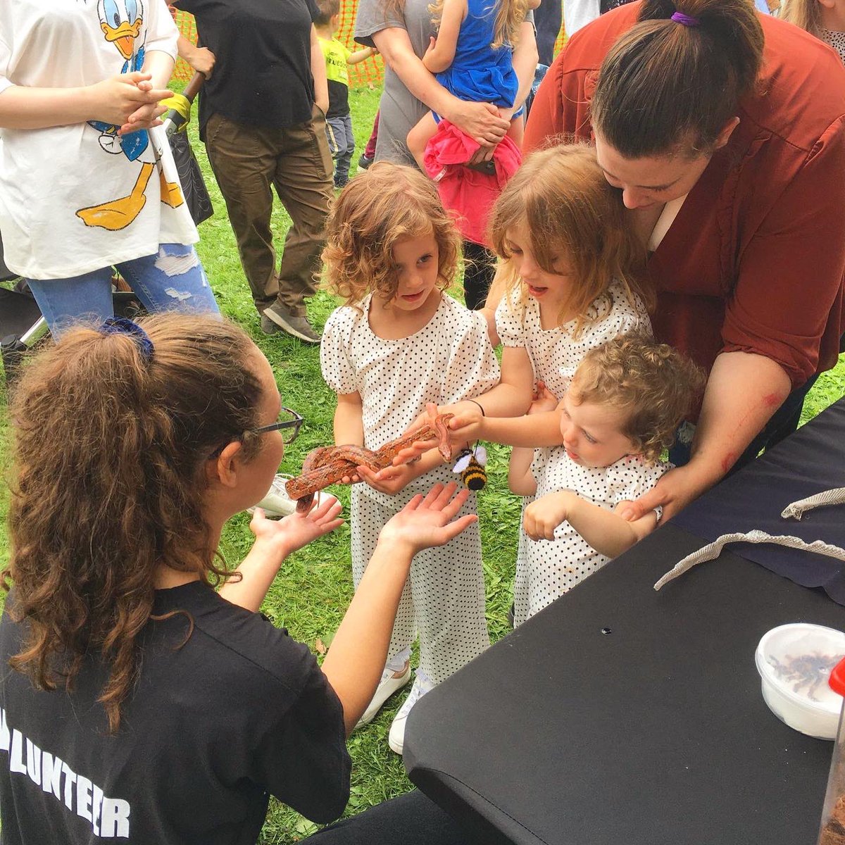 projectwildcic's tweet photo. Throwback to some events, workshops and filming with our brilliant Project: WILD team (past and present)! 🌿🐍🕷

#pwcic #projectwild #projectwildcic #conservation #environment #wildlife #nature #edutainment 
#volunteering #workshops #education #bushcraft https://t.co/EhMuZ8JVbO