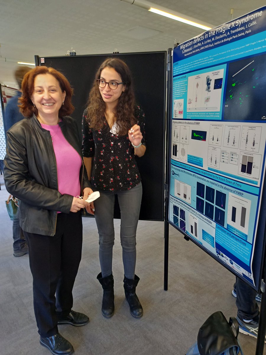 icaille1's tweet photo. Salima, PhD student under my supervision, happily presenting her (first!) poster about defects of neuronal migration in Fragile X Syndrome to Barbara. 👏👏👏
#fxs #neuronalmigration https://t.co/DyWSBxgrfr