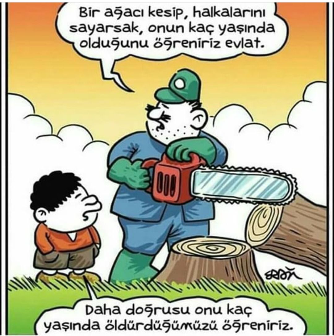 Çevreyi Öldürme.
#tabiat #orman #doğa #gezgin #seyyah