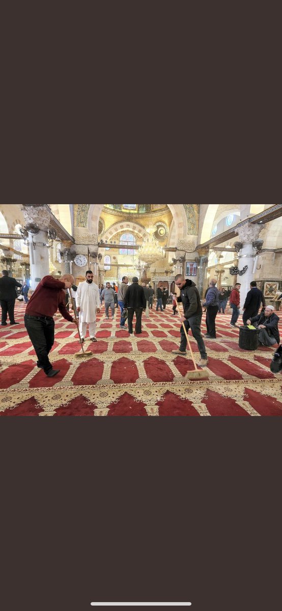 dijitalhafizam's tweet photo. Sabah yıkım altında olan Mescid, öğlen vakti namaza hazır hale getiriliyor. 🌱

Bu inanç, bu irade, Filistin’in geleceğinde bizi neyi beklediğinin göstergesidir. 🇵🇸

#GözümüzKulağımızAksada
#FreePalestine https://t.co/zpP3O9Ndjx