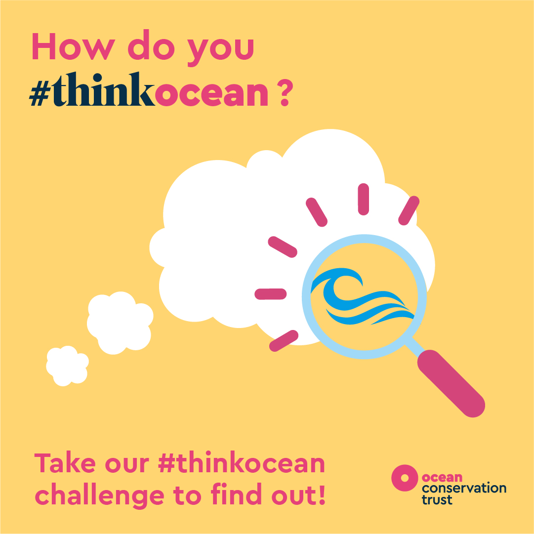 Ocean Conservation Trust tweet media