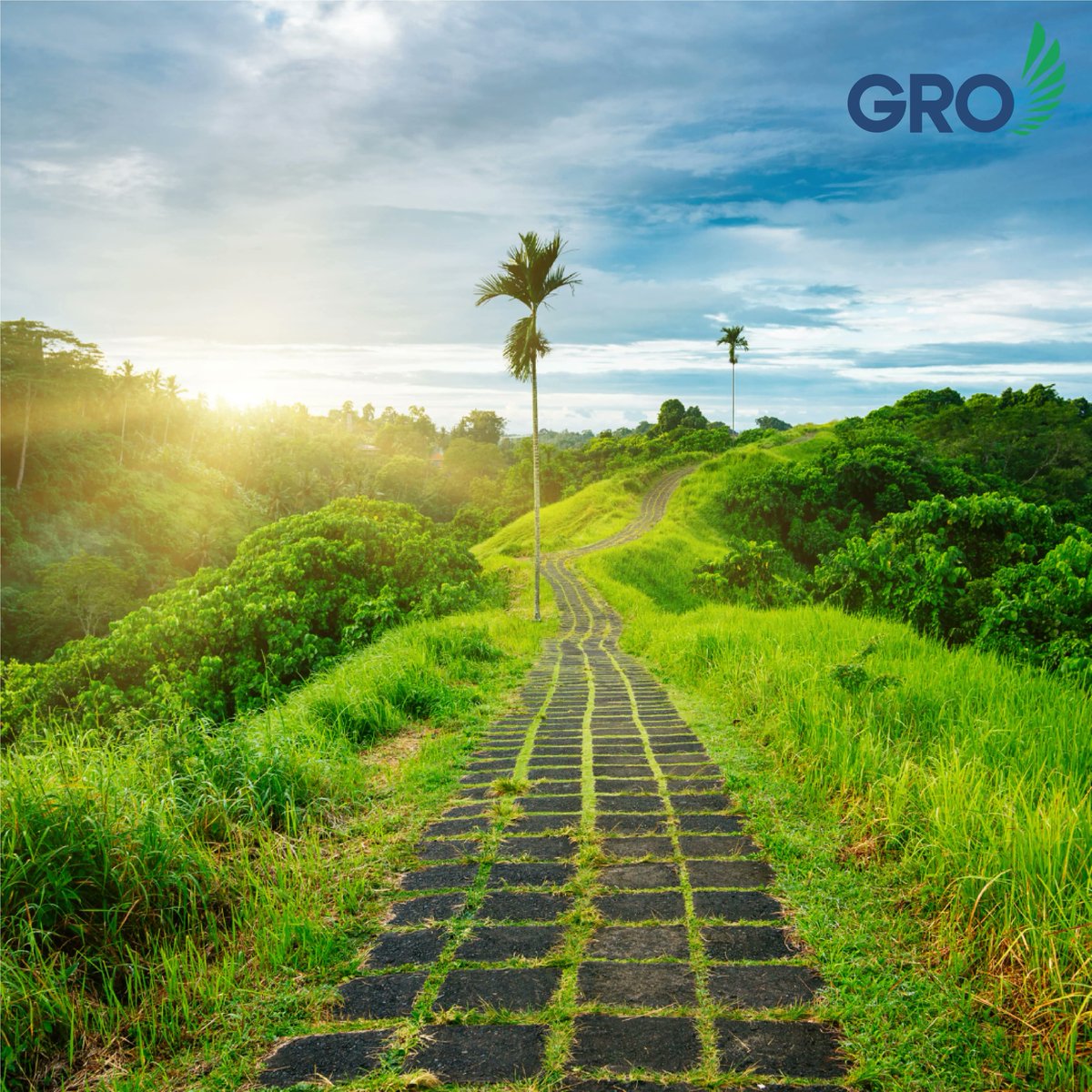 gro_indonesia's tweet photo. Campuhan Ridge Walk: A Hidden Treasure in Ubud, Bali. Put on your best walking shoes and start walking up the Campuhan Ridge Walk Away to explore Ubud.
It is a beautiful walk which is filled with greenery and hills.
#campuhanubud #campuhanridgewalk #ubud #balidestination https://t.co/iJAURqvsJ0