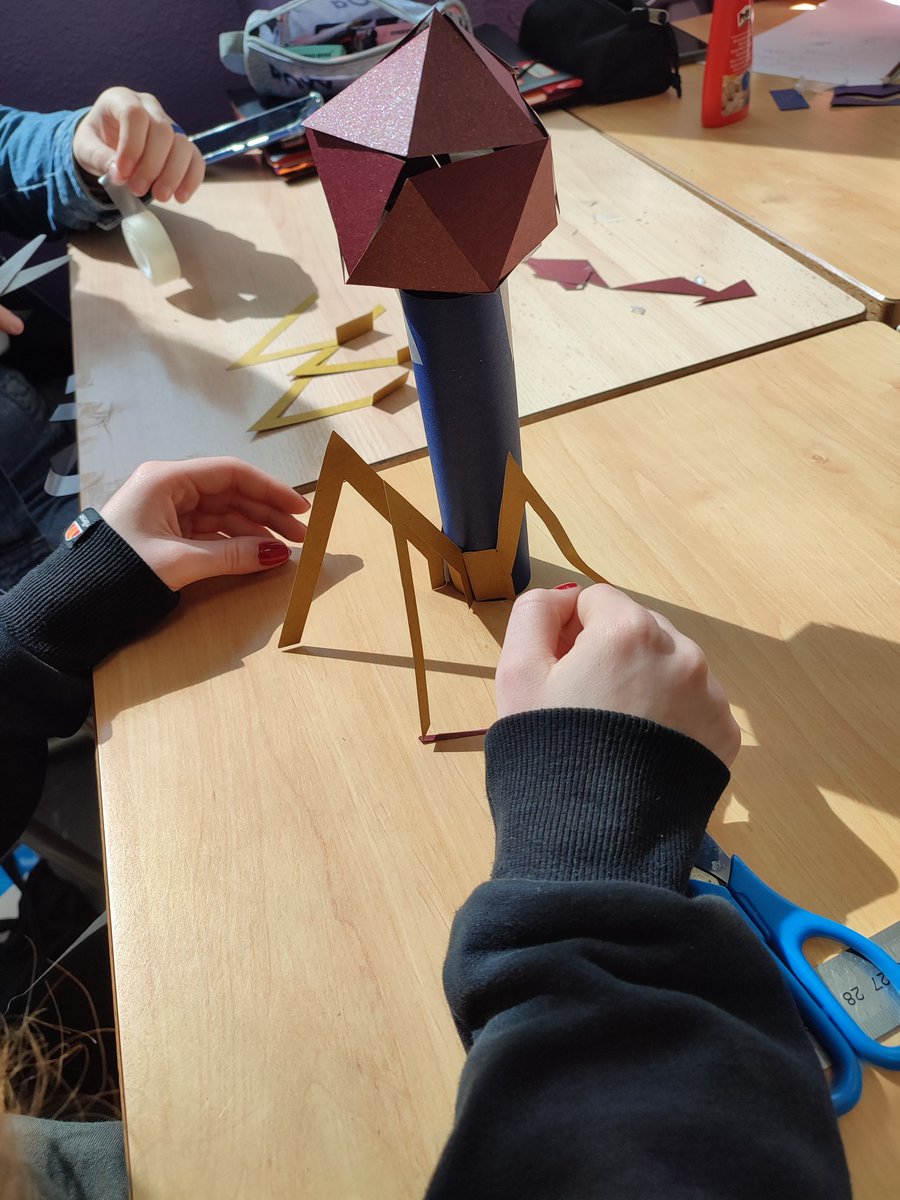 VJarrousse's tweet photo. Pour conclure leur séquence sur les #virus , nos étudiants M1 Loup et @cunha_dupuis animent un atelier fabrique ton phage avec les #TSTLbiotech @lyceeUruguay77 https://t.co/dHdgSbf8v2