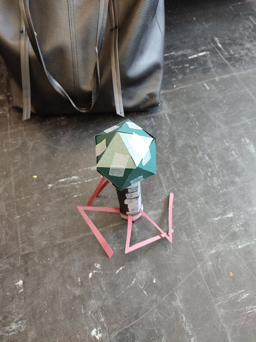 VJarrousse's tweet photo. Pour conclure leur séquence sur les #virus , nos étudiants M1 Loup et @cunha_dupuis animent un atelier fabrique ton phage avec les #TSTLbiotech @lyceeUruguay77 https://t.co/dHdgSbf8v2