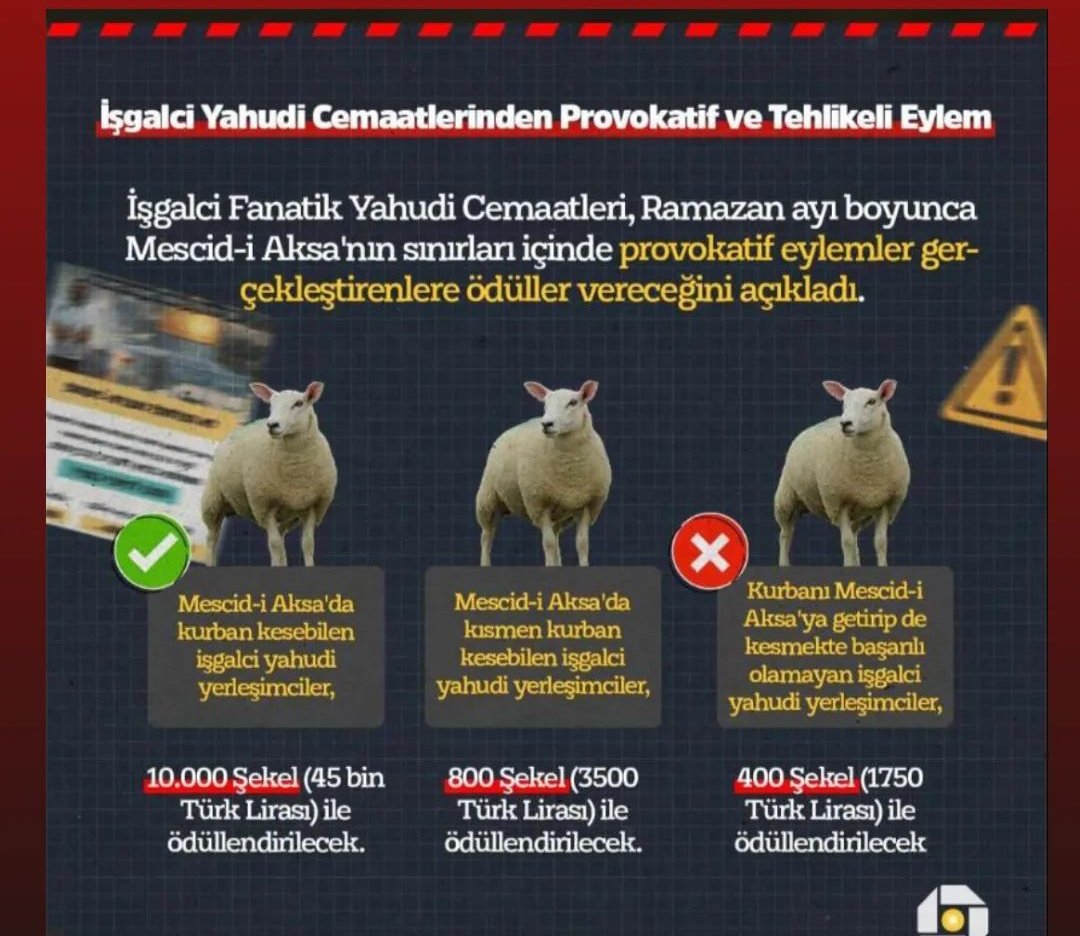 rabikoyevski's tweet photo. Fanatih Yahudilerin, Mescid-i Aksa'ya yönelik her adımı, sonlarını getirecek en büyük hataları olacaktır!
#GözümüzKulağımızAksada 
#KeepEyeOnAlAqsa https://t.co/kWwJR5VOaw
