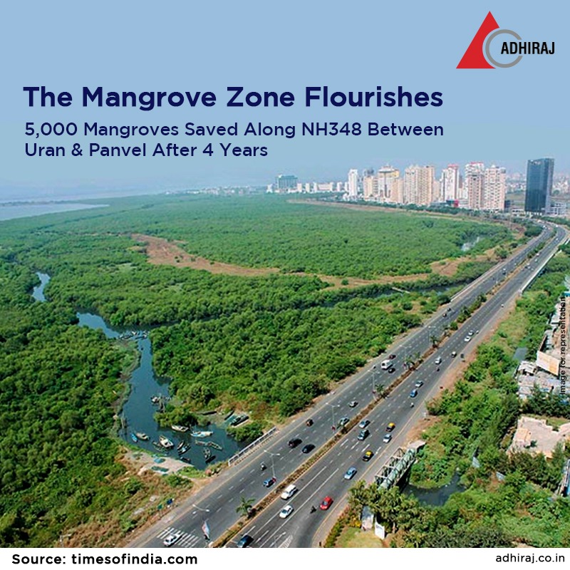 Mangroves have been saved along NH348 between Uran and Panvel where water was blocked earlier in April 2018. Thanks to the environmentalists for restoring the green route. 

To Know More, Visit:- bit.ly/3vnhxqr

#adhiraj #adhirajconstructions #adhirajcapitalcity