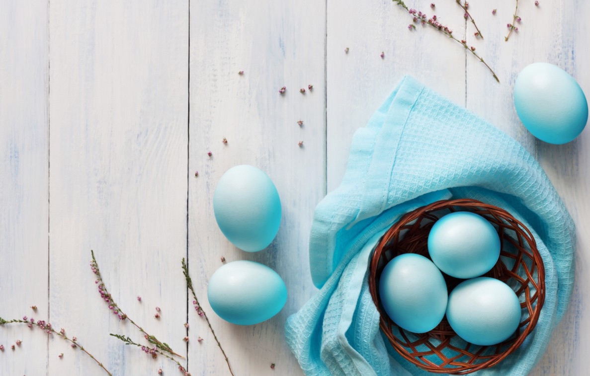 Happy Easter - mailchi.mp/3d57bb86c0bf/h…