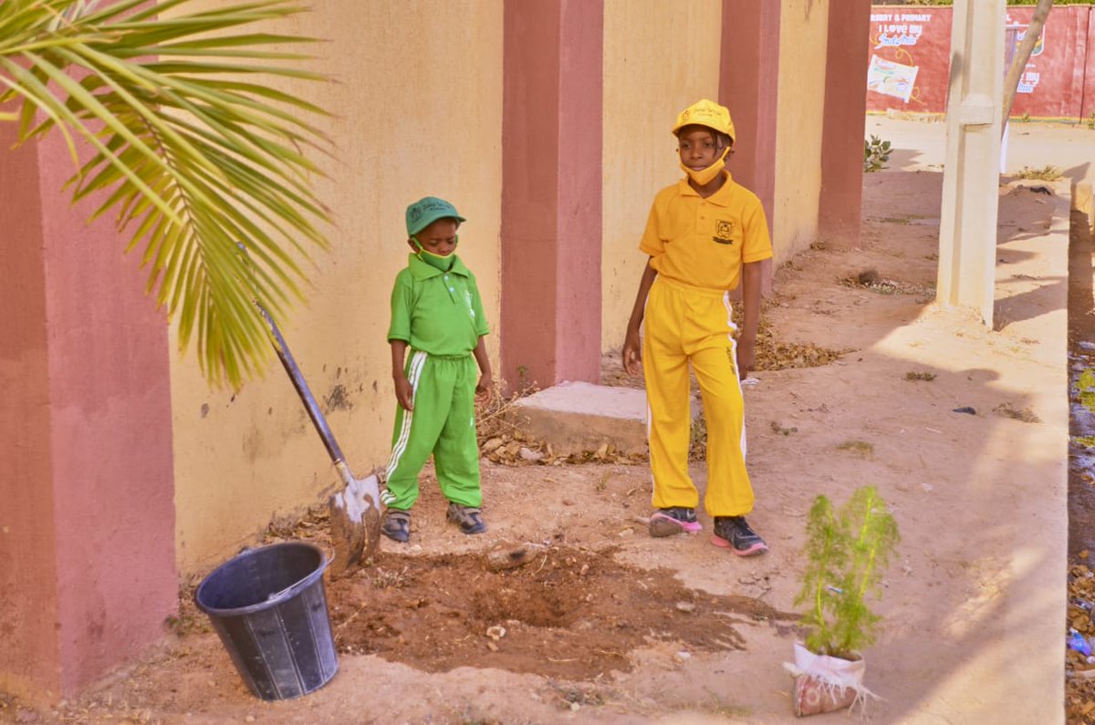 TunjiClimate's tweet photo. Planting trees is one of the best ways of fighting #ClimateCrisis 

As trees grow, they help absorb and sink the carbon that would otherwise contribute to global heat.

Trees are often seen as a great natural technology against #globalwarming https://t.co/SWOm8Ku2LA