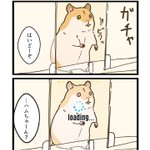 ハムスターを飼っている人ならきっと共感しちゃう？ハムスターあるある!