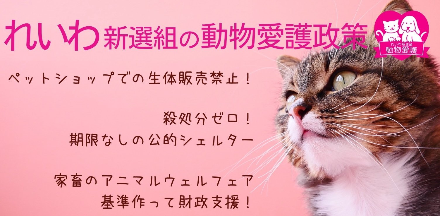 大島九州男 くすお 再始動 れいわ新選組 九州沖縄選対統括 大島九州男は12年間の参議院議員を通じ 動物愛護政策に取り組んできました 国会で初めて生体販売禁止に言及したのが大島九州男です 大切なのはすべての命 そのことを4 8公認発表記者会見