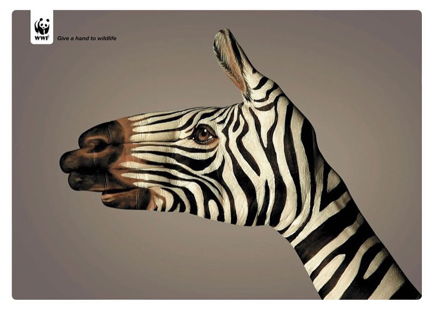 TeesideJ's tweet photo. The “Give A Hand to Wildlife” campaign for the World Wildlife Federation has striking, pointed imagery, painted on an actual hand.

#advertisingagency #brilliantads #digitalmarketingtips #marketingdigital #marketing #marketingtips #instagrammarketingtips #advertisingtips https://t.co/Rh9Vv8nvvU