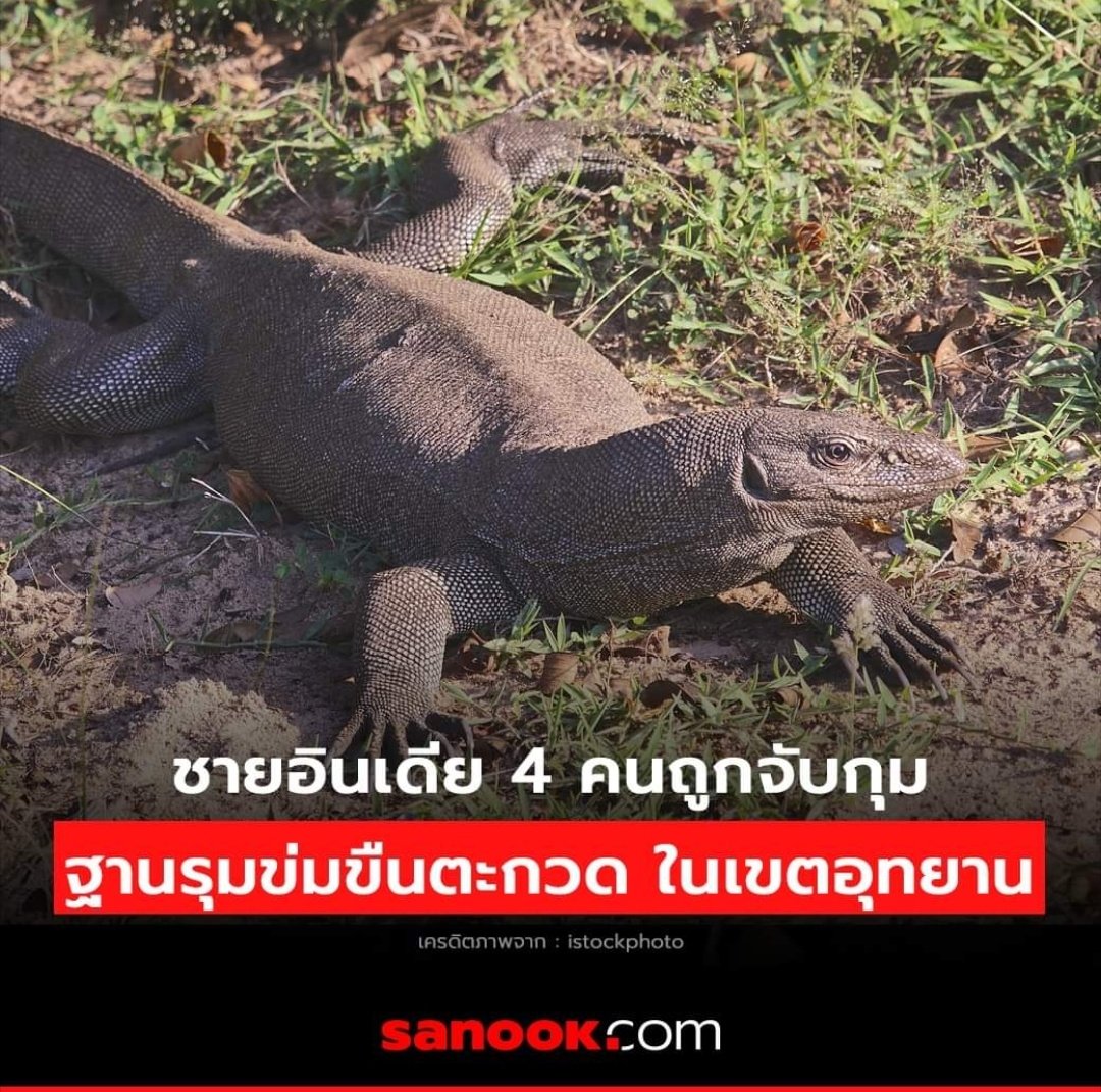 อีเหี้ย พวกมึงทำเหี้ยอะไรลงไป เหี้ยมากกกกก !!!!!