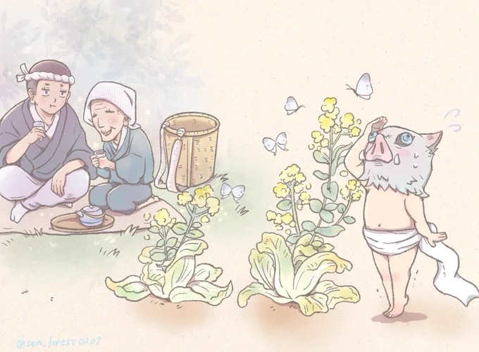 白菜の花と背比べ 
