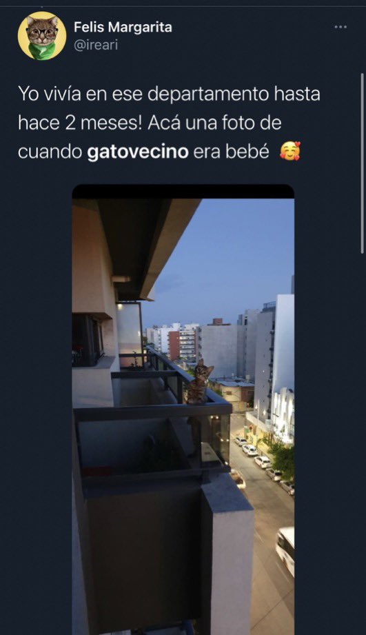 ceciarmy's tweet photo. Twitter conectando dos increíbles historias https://t.co/9Wpkl2R33O