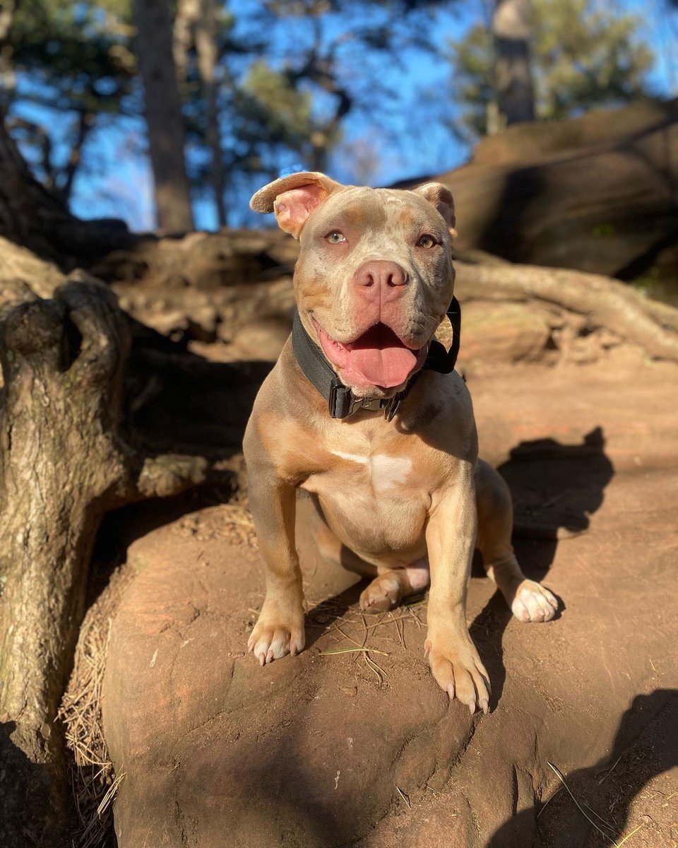 Kayikçi (@el_kayikci) on Twitter photo 