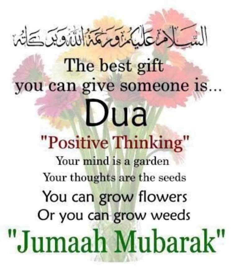 MostafaKC's tweet image. 