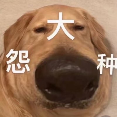 AAAiang's tweet photo. #新头像 https://t.co/WIZoZgzVQm