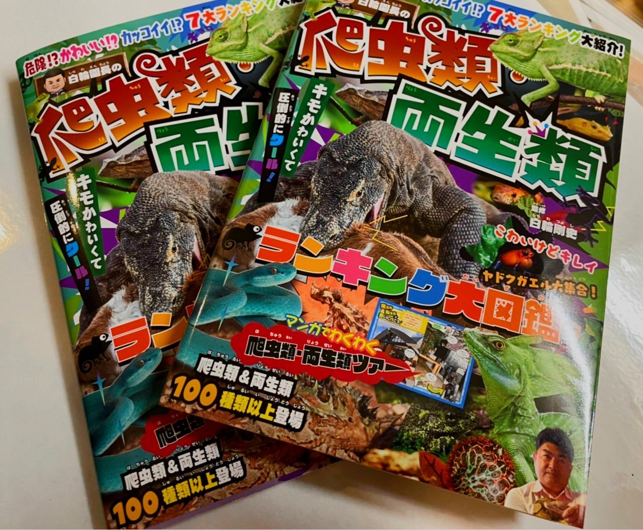 両生類の神童　日本語版4枚 両生類の神童 日本語版4枚 両生類の神童 (Pollywog Prodigy