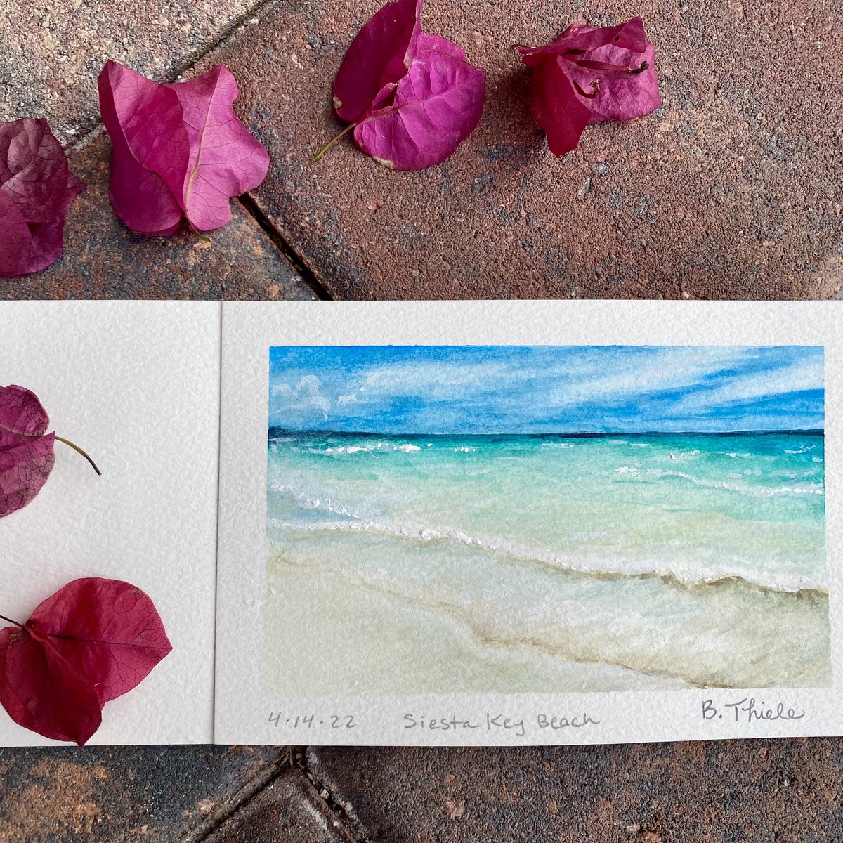 Bethany Thiele tweet media