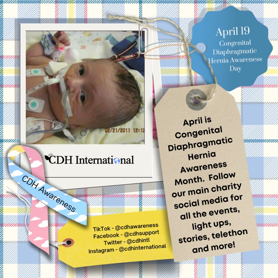 April is Global Congenital Diaphragmatic Hernia Awareness Month!

Follow our main charity social media for all the events, light ups, stories, telethon and more! 

cdhawarenessday.org

#CongenitalDiaphragmaticHernia #CDH #CDHAwareness #cdhchallenge #CDHAwarenessMonth