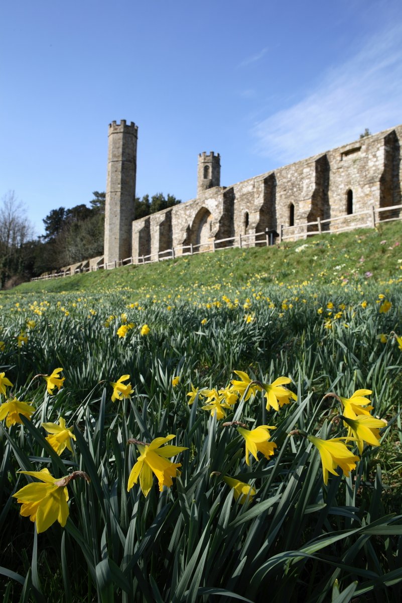 EnglishHeritage's tweet photo. Fields of gold 💛 Spring sunshine captured at Abbey and Battlefield.

📍1066 Battle of Hastings, Abbey and Battlefield, East Sussex https://t.co/ewJvSrO6xe