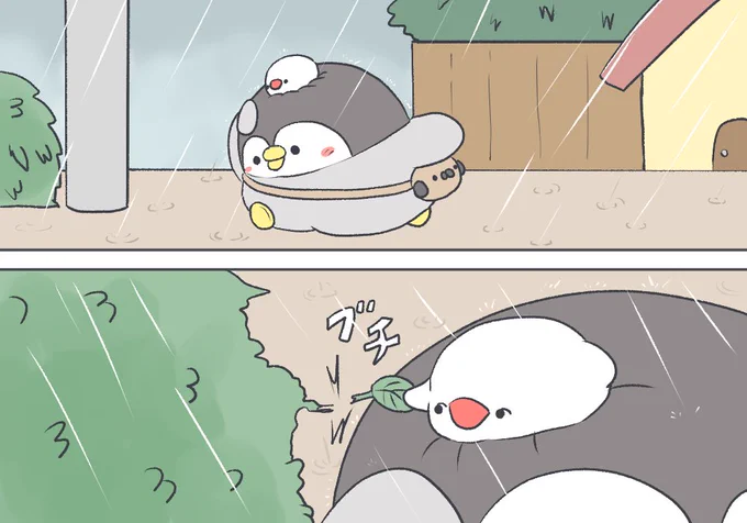 ペンギンと傘 