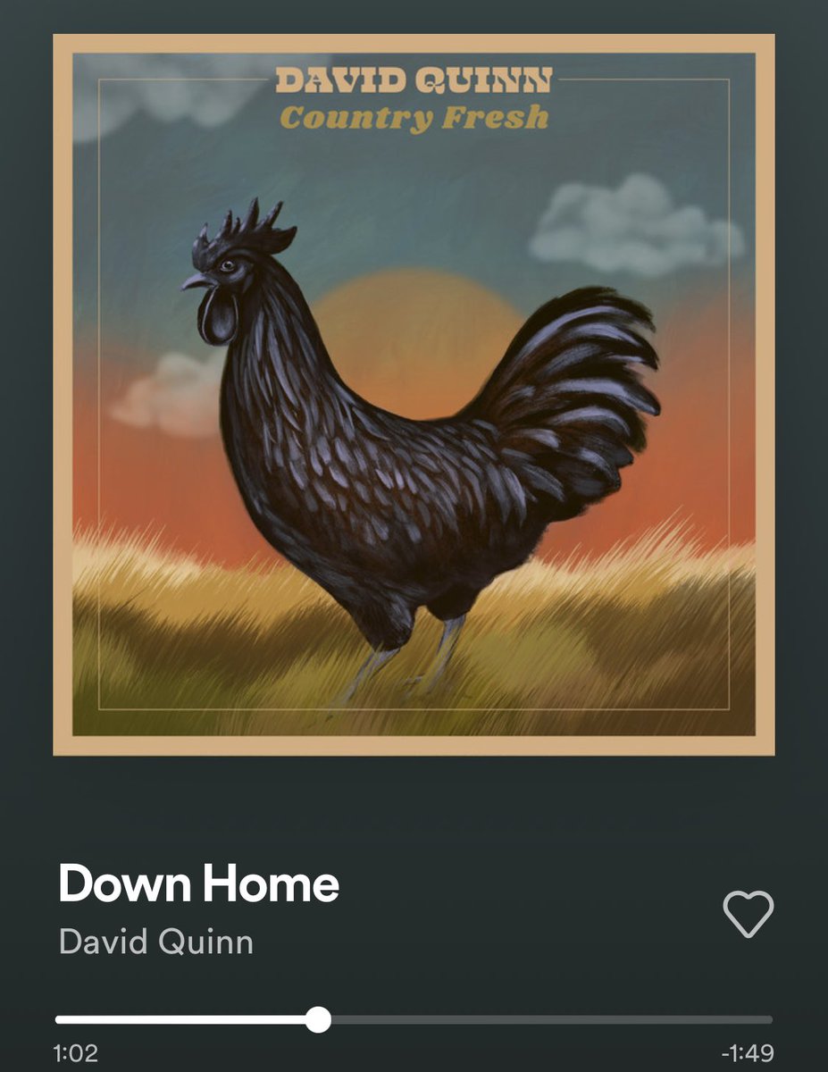 The new @DavidQuinnBand album, ‘Country Fresh’ is 🔥🔥🔥. Go give this one a spin!