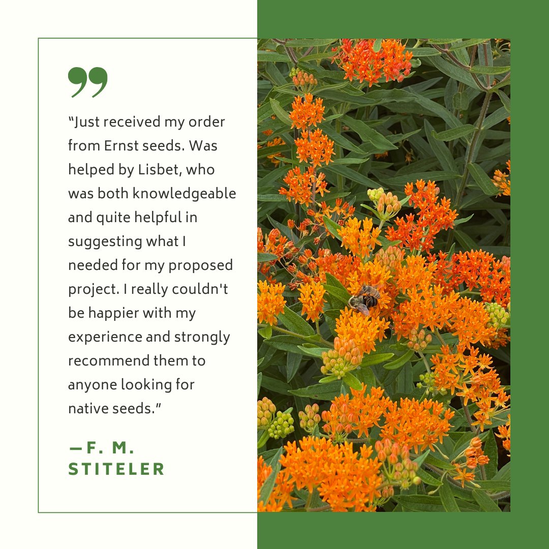 ErnstSeeds's tweet photo. Thank you for your feedback, F. M. Stiteler! We are always excited to hear from another happy customer.
#normalizenatives https://t.co/wiZFqC4dGu