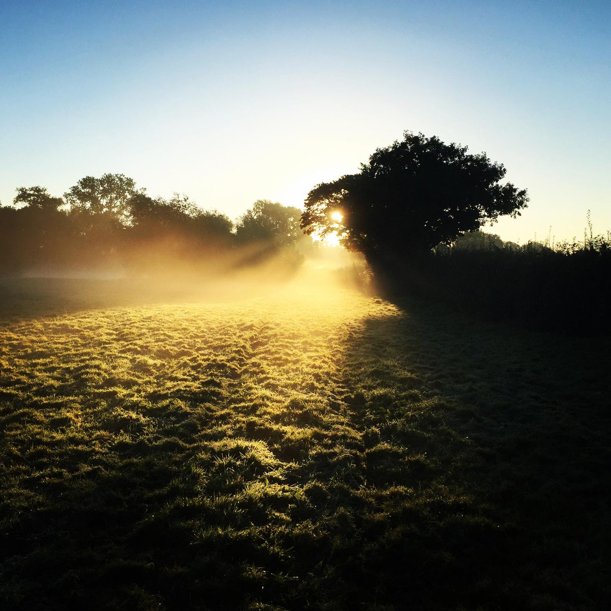 #DyddGweneryGroglith hapus i chi gyd🌞 Happy #GoodFriday- today is your excuse not to do the laundry to avoid bad luck🧺🤣