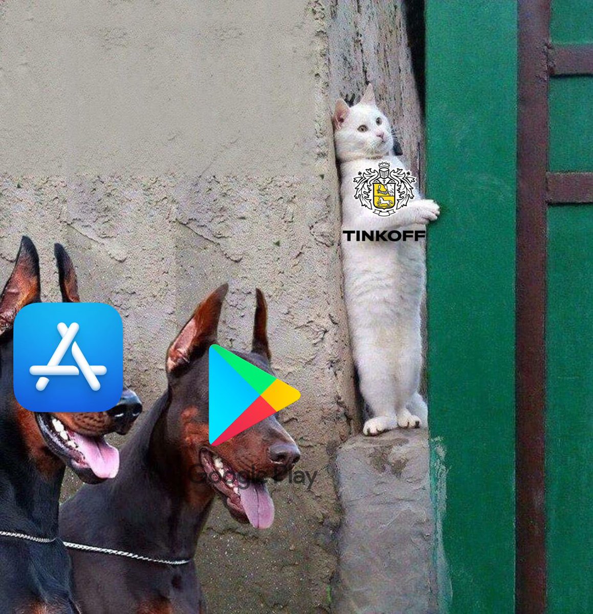 Сука!