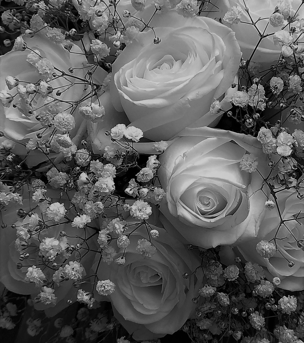 Penryn Camera Club tweet media