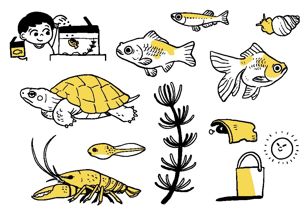 無料イラスト素材のページに、水槽で飼う生き物🐠🦐とふれあい広場の動物🐑🐐🐓をカット追加しました。
https://t.co/PKeoQNT70W

#素材 #無料イラスト #保育 #動物 